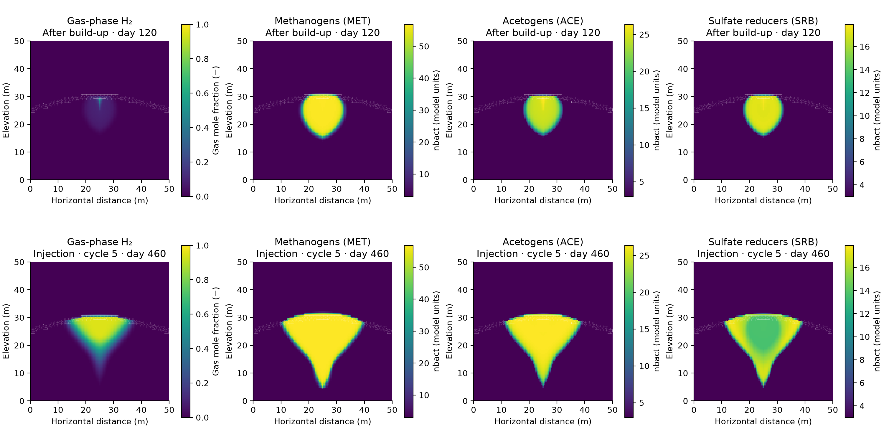 Two-dimensional hydrogen gas fraction and the three microbial population fields after build-up and fifth-cycle injection.